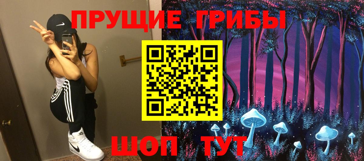 Галлюциногенные грибы GOLDEN TEACHER  Псилоцибиновые грибы прущие грибы  Алейск  Вход с VPN 